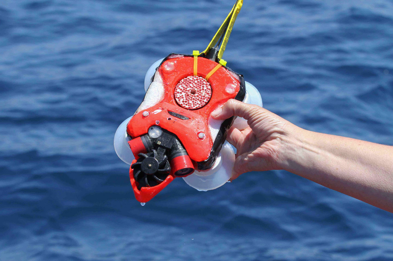 The new whale research device. (Image: Jeremy Goldbogen)